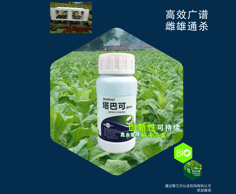 塔巴可